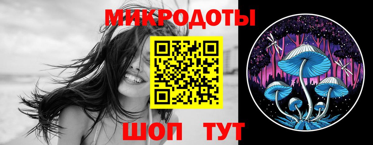 Строитель  Галлюциногенные грибы Psilocybine cubensis  Вход с VPN 